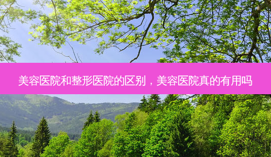 美容医院和整形医院的区别,美容医院真的有用吗-第1张图片-美呗严选网 美容医院和整形医院的区别,美容医院真的有用吗-第1张图片-美呗严选网