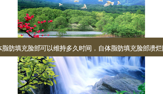 自体脂肪填充脸部可以维持多久时间,自体脂肪填充脸部溃烂图片-第1张图片-美呗严选网 自体脂肪填充脸部可以维持多久时间,自体脂肪填充脸部溃烂图片-第1张图片-美呗严选网
