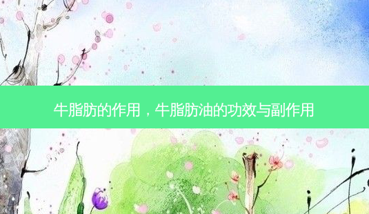 牛脂肪的作用,牛脂肪油的功效与副作用-第1张图片-美呗严选网 牛脂肪的作用,牛脂肪油的功效与副作用-第1张图片-美呗严选网