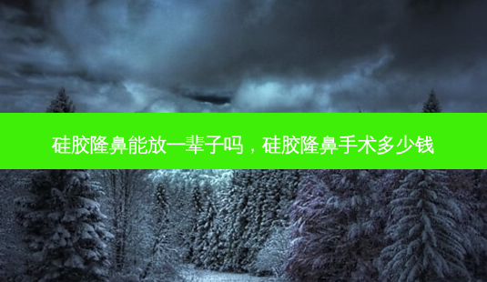 硅胶隆鼻能放一辈子吗,硅胶隆鼻手术多少钱-第1张图片-美呗严选网 硅胶隆鼻能放一辈子吗,硅胶隆鼻手术多少钱-第1张图片-美呗严选网