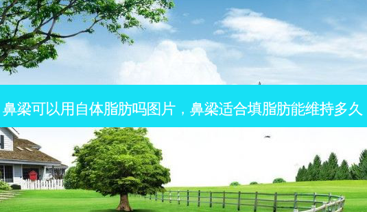 鼻梁可以用自体脂肪吗图片,鼻梁适合填脂肪能维持多久-第1张图片-美呗严选网 鼻梁可以用自体脂肪吗图片,鼻梁适合填脂肪能维持多久-第1张图片-美呗严选网