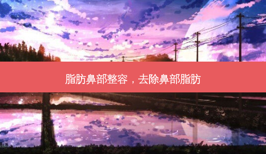 脂肪鼻部整容,去除鼻部脂肪-第1张图片-美呗严选网 脂肪鼻部整容,去除鼻部脂肪-第1张图片-美呗严选网