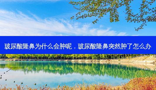 玻尿酸隆鼻为什么会肿呢,玻尿酸隆鼻突然肿了怎么办-第1张图片-美呗严选网 玻尿酸隆鼻为什么会肿呢,玻尿酸隆鼻突然肿了怎么办-第1张图片-美呗严选网