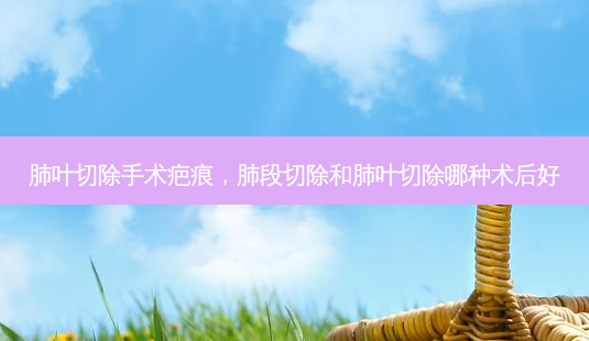 肺叶切除手术疤痕,肺段切除和肺叶切除哪种术后好-第1张图片-美呗严选网 肺叶切除手术疤痕,肺段切除和肺叶切除哪种术后好-第1张图片-美呗严选网