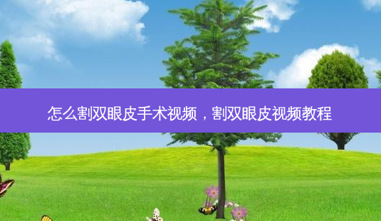 怎么割双眼皮手术视频,割双眼皮视频教程-第1张图片-美呗严选网 怎么割双眼皮手术视频,割双眼皮视频教程-第1张图片-美呗严选网