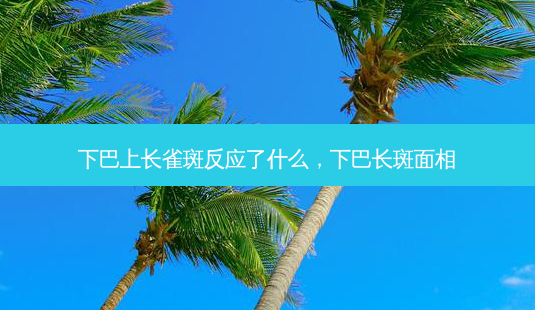 下巴上长雀斑反应了什么,下巴长斑面相-第1张图片-美呗严选网 下巴上长雀斑反应了什么,下巴长斑面相-第1张图片-美呗严选网