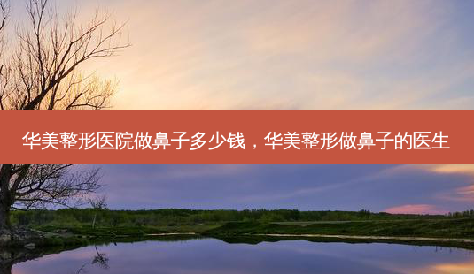 华美整形医院做鼻子多少钱,华美整形做鼻子的医生-第1张图片-美呗严选网 华美整形医院做鼻子多少钱,华美整形做鼻子的医生-第1张图片-美呗严选网