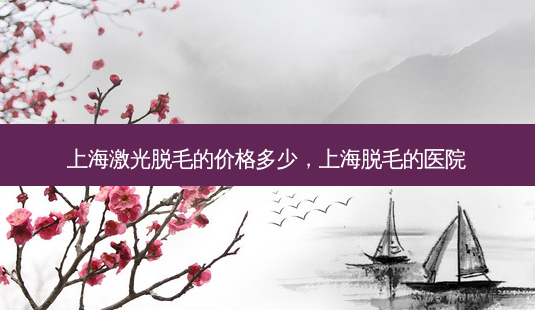 上海激光脱毛的价格多少,上海脱毛的医院-第1张图片-美呗严选网 上海激光脱毛的价格多少,上海脱毛的医院-第1张图片-美呗严选网