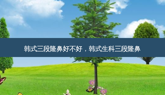 韩式三段隆鼻好不好,韩式生科三段隆鼻-第1张图片-美呗严选网 韩式三段隆鼻好不好,韩式生科三段隆鼻-第1张图片-美呗严选网