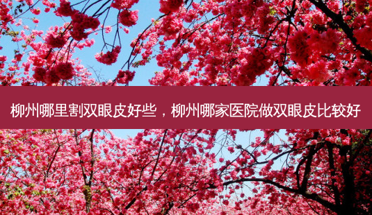 柳州哪里割双眼皮好些,柳州哪家医院做双眼皮比较好-第1张图片-美呗严选网 柳州哪里割双眼皮好些,柳州哪家医院做双眼皮比较好-第1张图片-美呗严选网