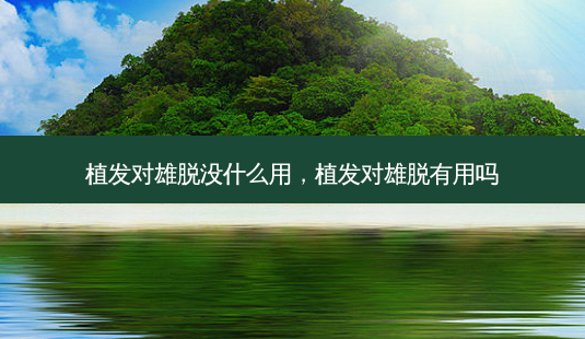 植发对雄脱没什么用,植发对雄脱有用吗-第1张图片-美呗严选网 植发对雄脱没什么用,植发对雄脱有用吗-第1张图片-美呗严选网