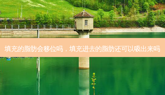 填充的脂肪会移位吗,填充进去的脂肪还可以吸出来吗-第1张图片-美呗严选网 填充的脂肪会移位吗,填充进去的脂肪还可以吸出来吗-第1张图片-美呗严选网