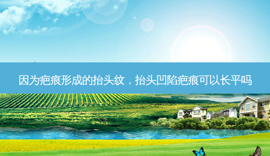 因为疤痕形成的抬头纹,抬头凹陷疤痕可以长平吗-第1张图片-美呗严选网 因为疤痕形成的抬头纹,抬头凹陷疤痕可以长平吗-第1张图片-美呗严选网