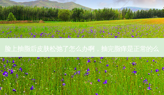脸上抽脂后皮肤松弛了怎么办啊,抽完脂痒是正常的么-第1张图片-美呗严选网 脸上抽脂后皮肤松弛了怎么办啊,抽完脂痒是正常的么-第1张图片-美呗严选网