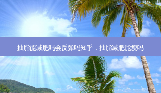 抽脂能减肥吗会反弹吗知乎,抽脂减肥能瘦吗-第1张图片-美呗严选网 抽脂能减肥吗会反弹吗知乎,抽脂减肥能瘦吗-第1张图片-美呗严选网