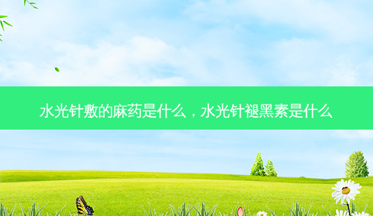 水光针敷的麻药是什么,水光针褪黑素是什么-第1张图片-美呗严选网 水光针敷的麻药是什么,水光针褪黑素是什么-第1张图片-美呗严选网