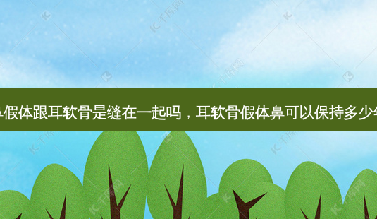 鼻假体跟耳软骨是缝在一起吗,耳软骨假体鼻可以保持多少年-第1张图片-美呗严选网 鼻假体跟耳软骨是缝在一起吗,耳软骨假体鼻可以保持多少年-第1张图片-美呗严选网