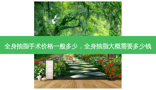 全身抽脂手术价格一般多少,全身抽脂大概需要多少钱-第1张图片-美呗严选网 全身抽脂手术价格一般多少,全身抽脂大概需要多少钱-第1张图片-美呗严选网