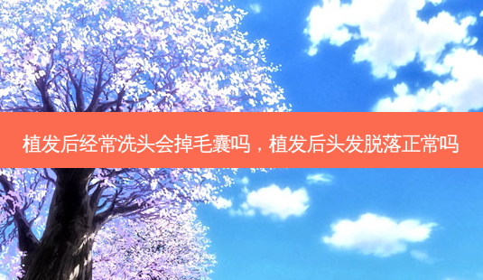 植发后经常洗头会掉毛囊吗,植发后头发脱落正常吗-第1张图片-美呗严选网 植发后经常洗头会掉毛囊吗,植发后头发脱落正常吗-第1张图片-美呗严选网