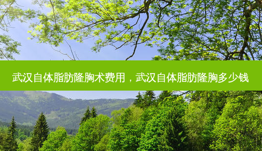 武汉自体脂肪隆胸术费用,武汉自体脂肪隆胸多少钱-第1张图片-美呗严选网 武汉自体脂肪隆胸术费用,武汉自体脂肪隆胸多少钱-第1张图片-美呗严选网