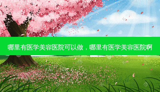 哪里有医学美容医院可以做,哪里有医学美容医院啊-第1张图片-美呗严选网 哪里有医学美容医院可以做,哪里有医学美容医院啊-第1张图片-美呗严选网