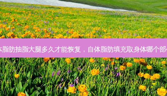 自体脂肪抽脂大腿多久才能恢复,自体脂肪填充取身体哪个部位好-第1张图片-美呗严选网 自体脂肪抽脂大腿多久才能恢复,自体脂肪填充取身体哪个部位好-第1张图片-美呗严选网