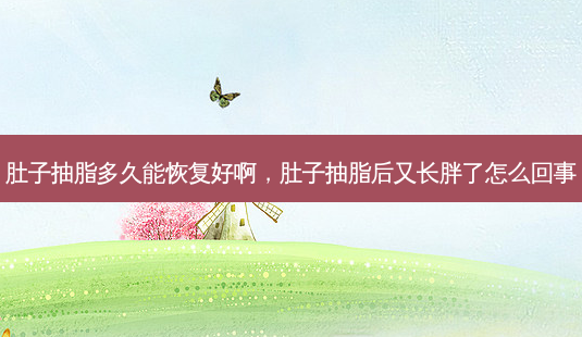 肚子抽脂多久能恢复好啊,肚子抽脂后又长胖了怎么回事-第1张图片-美呗严选网 肚子抽脂多久能恢复好啊,肚子抽脂后又长胖了怎么回事-第1张图片-美呗严选网
