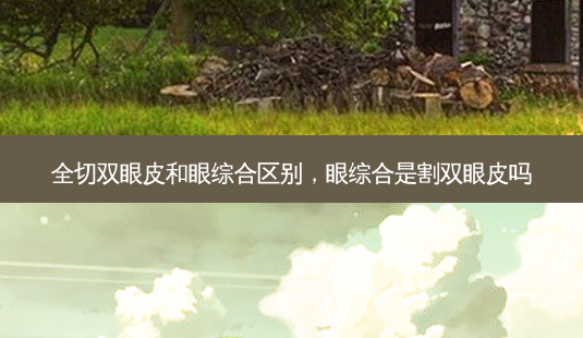 全切双眼皮和眼综合区别,眼综合是割双眼皮吗-第1张图片-美呗严选网 全切双眼皮和眼综合区别,眼综合是割双眼皮吗-第1张图片-美呗严选网