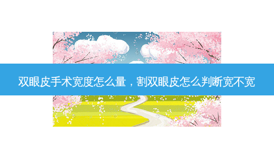 双眼皮手术宽度怎么量,割双眼皮怎么判断宽不宽-第1张图片-美呗严选网 双眼皮手术宽度怎么量,割双眼皮怎么判断宽不宽-第1张图片-美呗严选网