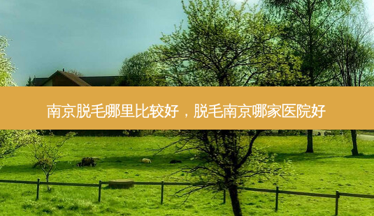 南京脱毛哪里比较好,脱毛南京哪家医院好-第1张图片-美呗严选网 南京脱毛哪里比较好,脱毛南京哪家医院好-第1张图片-美呗严选网