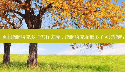 脸上脂肪填充多了怎样去掉,脂肪填充面部多了可溶脂吗-第1张图片-美呗严选网 脸上脂肪填充多了怎样去掉,脂肪填充面部多了可溶脂吗-第1张图片-美呗严选网