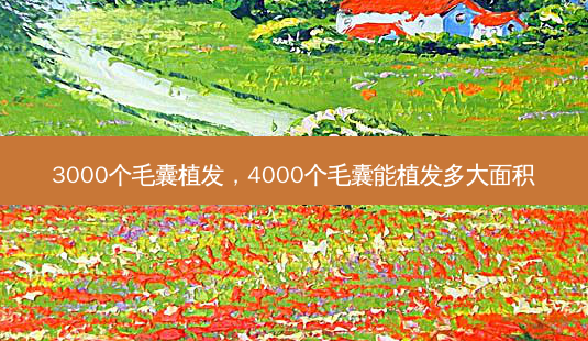 3000个毛囊植发,4000个毛囊能植发多大面积-第1张图片-美呗严选网 3000个毛囊植发,4000个毛囊能植发多大面积-第1张图片-美呗严选网