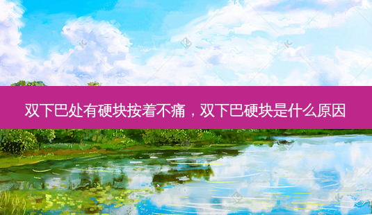 双下巴处有硬块按着不痛,双下巴硬块是什么原因-第1张图片-美呗严选网 双下巴处有硬块按着不痛,双下巴硬块是什么原因-第1张图片-美呗严选网