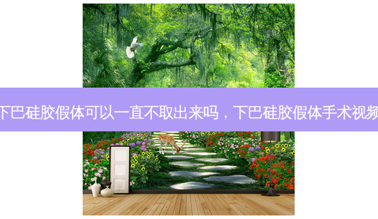 下巴硅胶假体可以一直不取出来吗,下巴硅胶假体手术视频-第1张图片-美呗严选网 下巴硅胶假体可以一直不取出来吗,下巴硅胶假体手术视频-第1张图片-美呗严选网