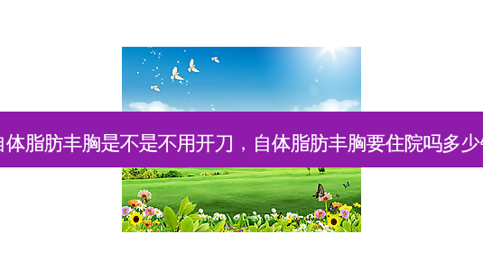 自体脂肪丰胸是不是不用开刀,自体脂肪丰胸要住院吗多少钱-第1张图片-美呗严选网 自体脂肪丰胸是不是不用开刀,自体脂肪丰胸要住院吗多少钱-第1张图片-美呗严选网