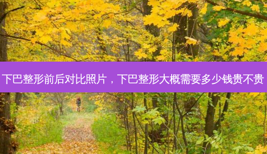 下巴整形前后对比照片,下巴整形大概需要多少钱贵不贵-第1张图片-美呗严选网 下巴整形前后对比照片,下巴整形大概需要多少钱贵不贵-第1张图片-美呗严选网
