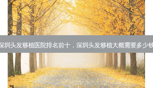 深圳头发移植医院排名前十,深圳头发移植大概需要多少钱-第1张图片-美呗严选网 深圳头发移植医院排名前十,深圳头发移植大概需要多少钱-第1张图片-美呗严选网