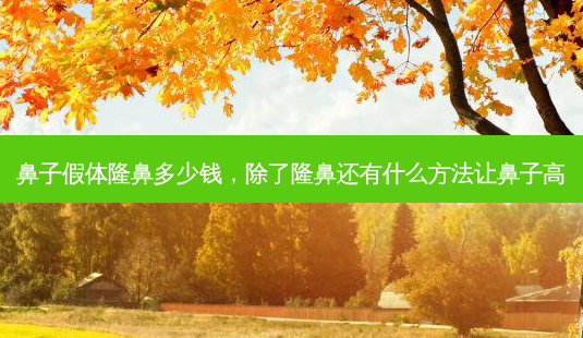 鼻子假体隆鼻多少钱,除了隆鼻还有什么 *** 让鼻子高-第1张图片-美呗严选网 鼻子假体隆鼻多少钱,除了隆鼻还有什么 *** 让鼻子高-第1张图片-美呗严选网