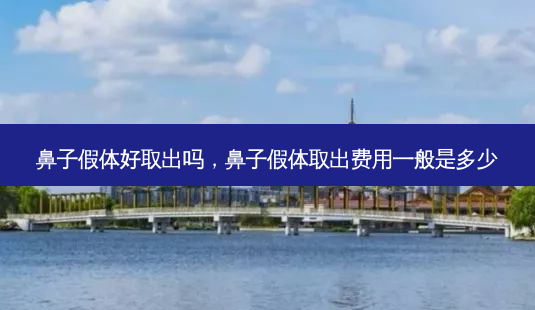 鼻子假体好取出吗,鼻子假体取出费用一般是多少-第1张图片-美呗严选网 鼻子假体好取出吗,鼻子假体取出费用一般是多少-第1张图片-美呗严选网