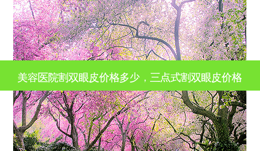 美容医院割双眼皮价格多少,三点式割双眼皮价格-第1张图片-美呗严选网 美容医院割双眼皮价格多少,三点式割双眼皮价格-第1张图片-美呗严选网
