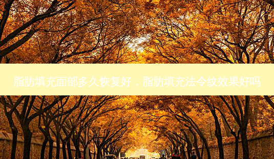 脂肪填充面部多久恢复好,脂肪填充法令纹效果好吗-第1张图片-美呗严选网 脂肪填充面部多久恢复好,脂肪填充法令纹效果好吗-第1张图片-美呗严选网
