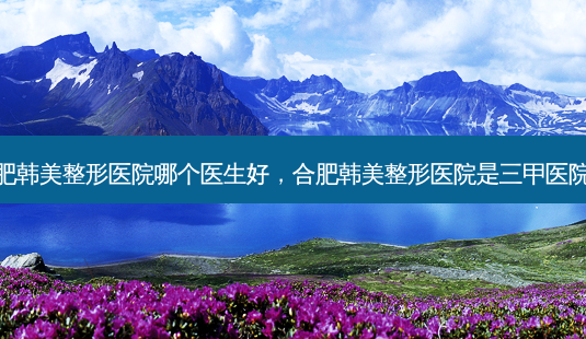 合肥韩美整形医院哪个医生好,合肥韩美整形医院是三甲医院吗-第1张图片-美呗严选网 合肥韩美整形医院哪个医生好,合肥韩美整形医院是三甲医院吗-第1张图片-美呗严选网