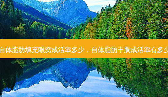 自体脂肪填充眼窝成活率多少,自体脂肪丰胸成活率有多少-第1张图片-美呗严选网 自体脂肪填充眼窝成活率多少,自体脂肪丰胸成活率有多少-第1张图片-美呗严选网