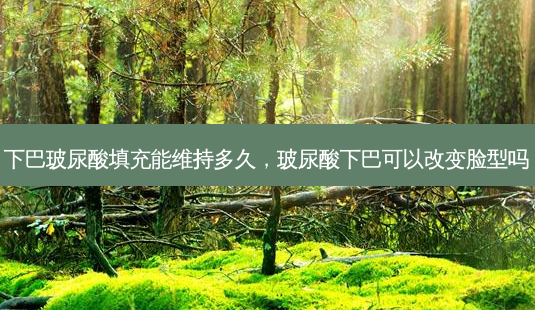 下巴玻尿酸填充能维持多久,玻尿酸下巴可以改变脸型吗-第1张图片-美呗严选网 下巴玻尿酸填充能维持多久,玻尿酸下巴可以改变脸型吗-第1张图片-美呗严选网