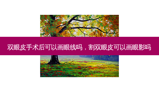 双眼皮手术后可以画眼线吗,割双眼皮可以画眼影吗-第1张图片-美呗严选网 双眼皮手术后可以画眼线吗,割双眼皮可以画眼影吗-第1张图片-美呗严选网