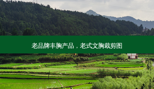 老品牌丰胸产品,老式文胸裁剪图-第1张图片-美呗严选网 老品牌丰胸产品,老式文胸裁剪图-第1张图片-美呗严选网