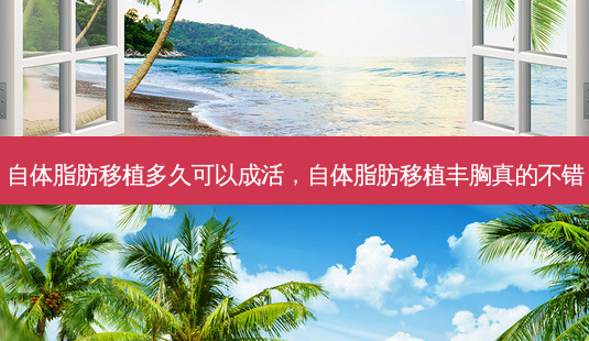 自体脂肪移植多久可以成活,自体脂肪移植丰胸真的不错-第1张图片-美呗严选网 自体脂肪移植多久可以成活,自体脂肪移植丰胸真的不错-第1张图片-美呗严选网