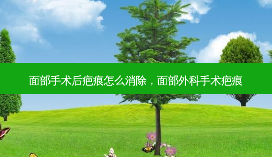 面部手术后疤痕怎么消除,面部外科手术疤痕-第1张图片-美呗严选网 面部手术后疤痕怎么消除,面部外科手术疤痕-第1张图片-美呗严选网