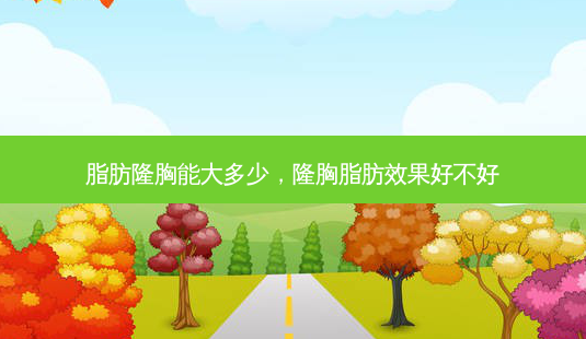 脂肪隆胸能大多少,隆胸脂肪效果好不好-第1张图片-美呗严选网 脂肪隆胸能大多少,隆胸脂肪效果好不好-第1张图片-美呗严选网