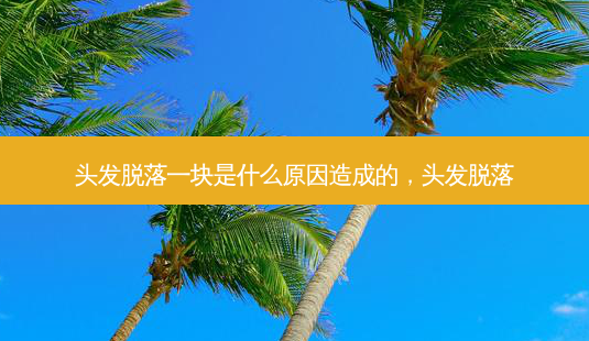 头发脱落一块是什么原因造成的,头发脱落-第1张图片-美呗严选网 头发脱落一块是什么原因造成的,头发脱落-第1张图片-美呗严选网